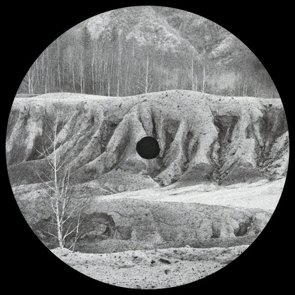 Cristi Cons / Frank Greiner : Family Jubilee II (12", 180)