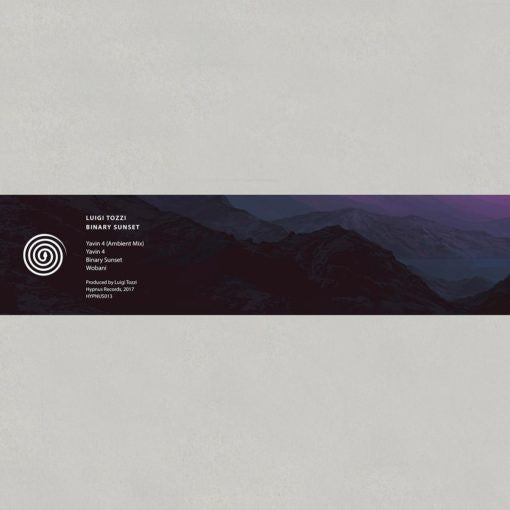 Luigi Tozzi : Binary Sunset (12", Ltd, Pur)