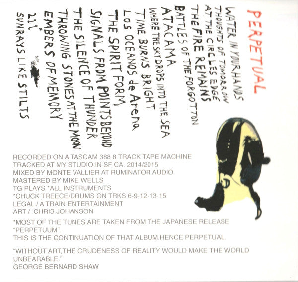 Tommy Guerrero : Perpetual (CD, Album)