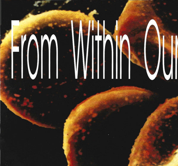 From Within : From Within (CD, Album, Ltd)