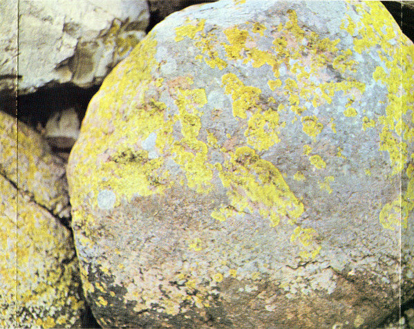 Tony Oxley Quintet : The Baptised Traveller (CD, Album, RE)