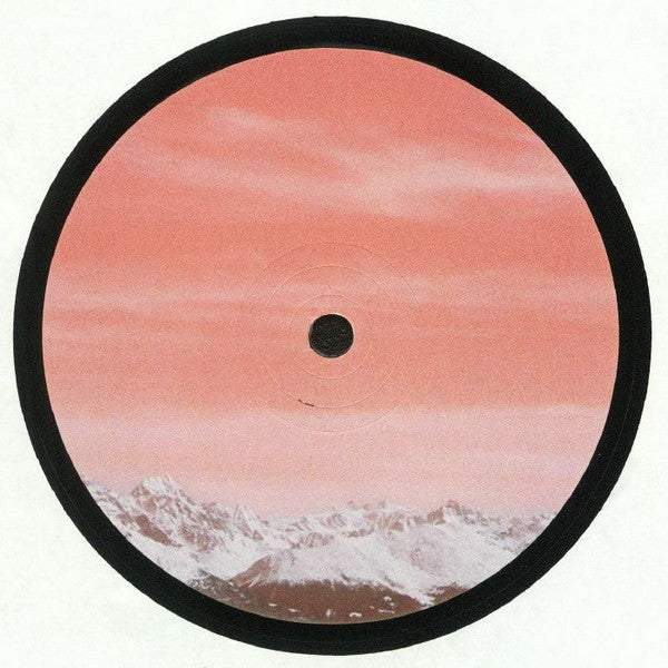 Welkins : YYYLTD002  (12")