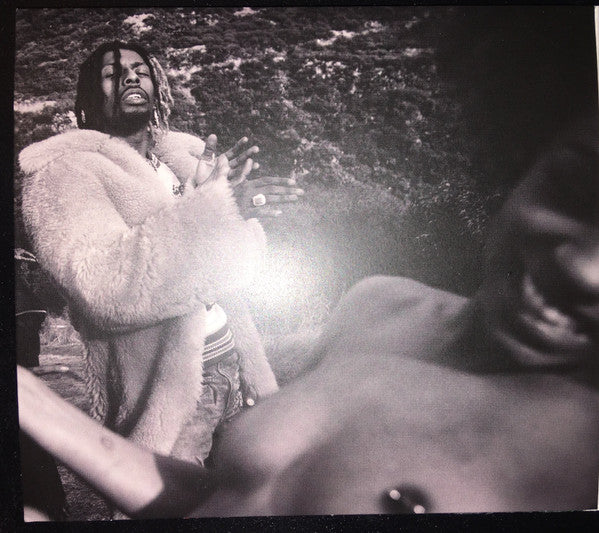 Flatbush Zombies : Vacation In Hell (CD, Album)