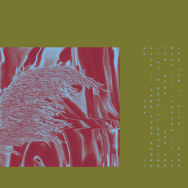 Pariah (9) : Here From Where We Are (LP, Album)
