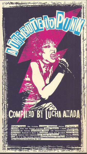 Various : A Tribute To Punk (2xCD, Comp)