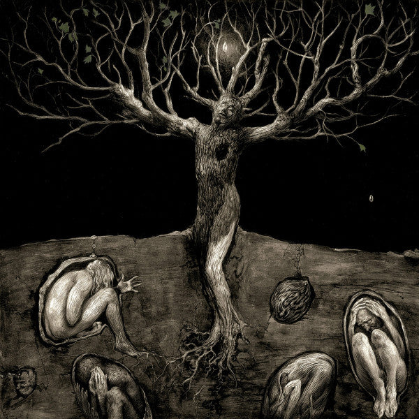 All Traps On Earth : A Drop Of Light (CD, Album)