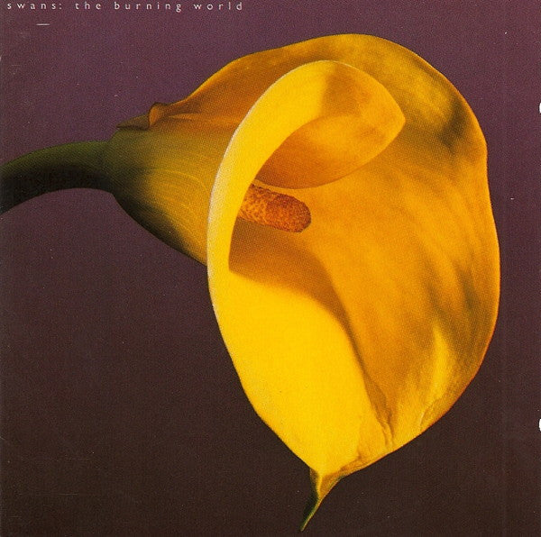 Swans : The Burning World (CD, Album)
