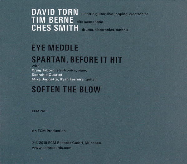 David Torn / Tim Berne / Ches Smith : Sun Of Goldfinger (CD, Album)