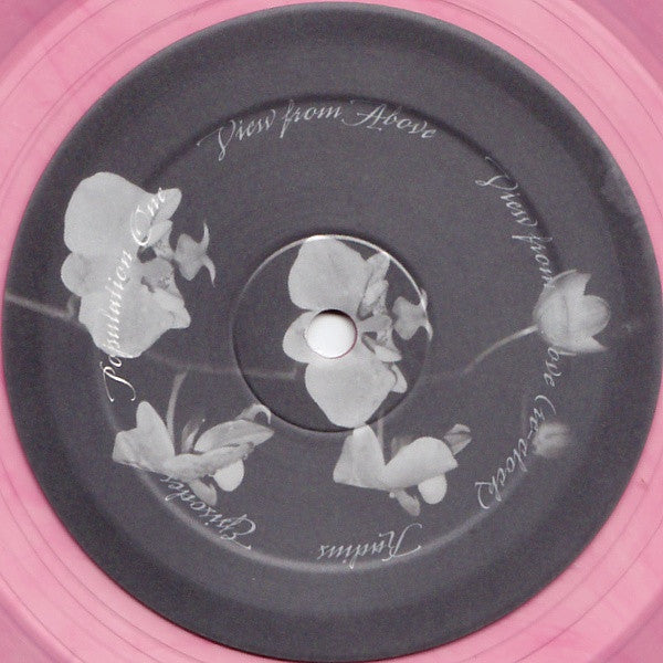 Population One : View From Above (12&quot;, Pin)
