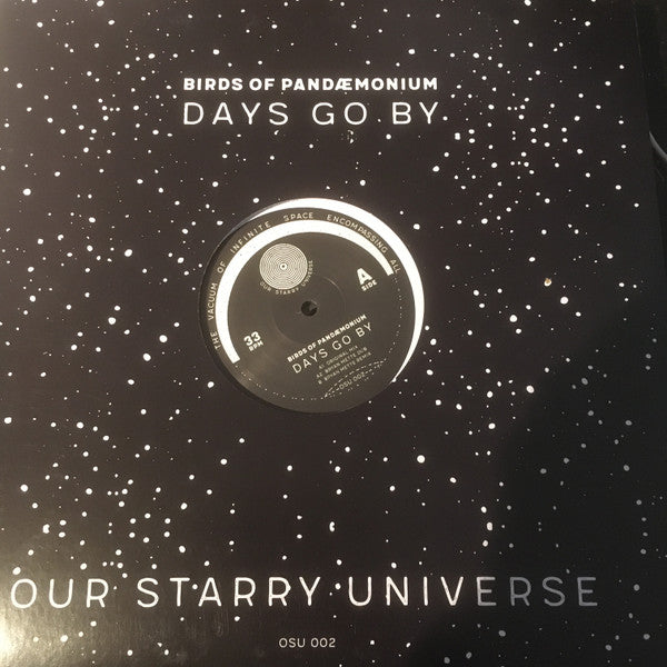 Birds Of Pandaemonium : Days Go By (12&quot;)