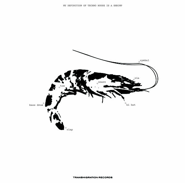 Ebi : Space Teddy EP 2 (12", EP, Comp, RM)