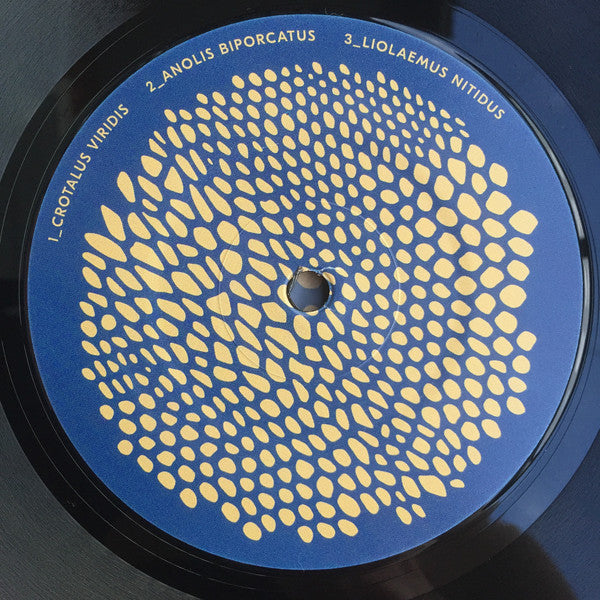 Vesu&#39;s : List Of Lizards II (LP, Album)