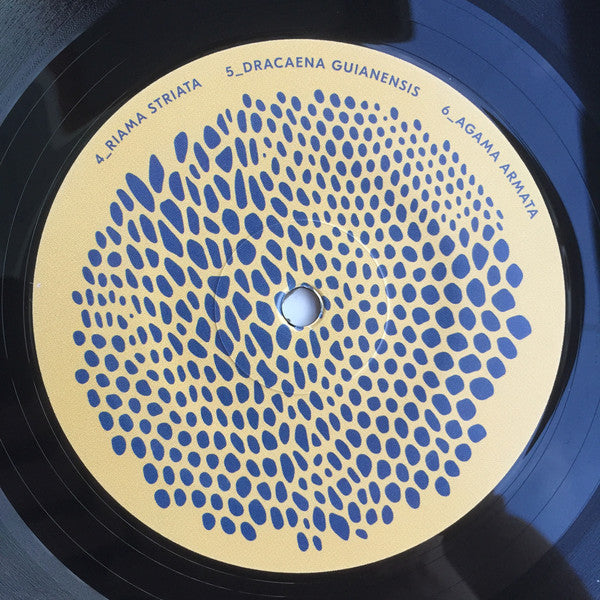 Vesu&#39;s : List Of Lizards II (LP, Album)