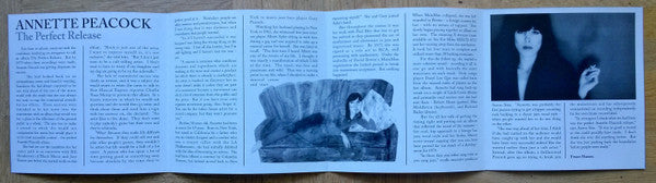 Annette Peacock : The Perfect Release (CD, Album, RE)