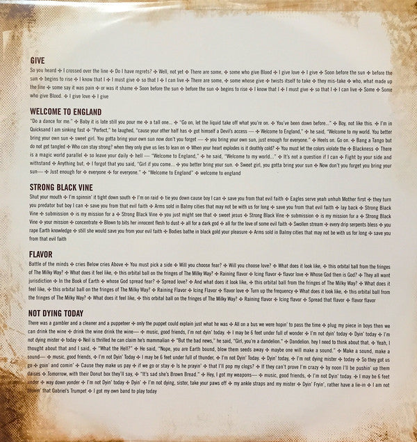 Tori Amos : Abnormally Attracted To Sin (2xLP, Album, Gat)