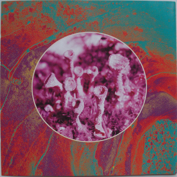 Tangerine Dream : Preston - November 5th 1980 (2xCD, Album, Ltd, Num)