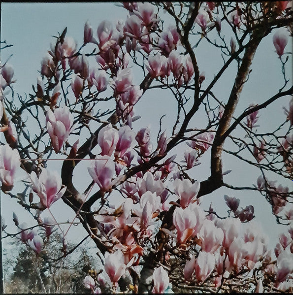 Robert Fripp : Music For Quiet Moments (8xCD, Album + Box, Comp)