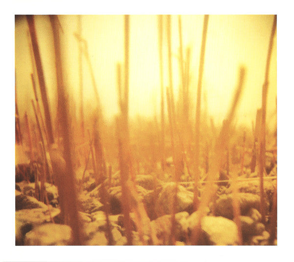 Taylor Deupree : Shoals (CD, Album)