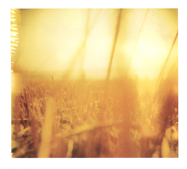 Taylor Deupree : Shoals (CD, Album)