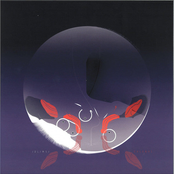 /DL/MS/ : Calanhi (2x12&quot;, Album)