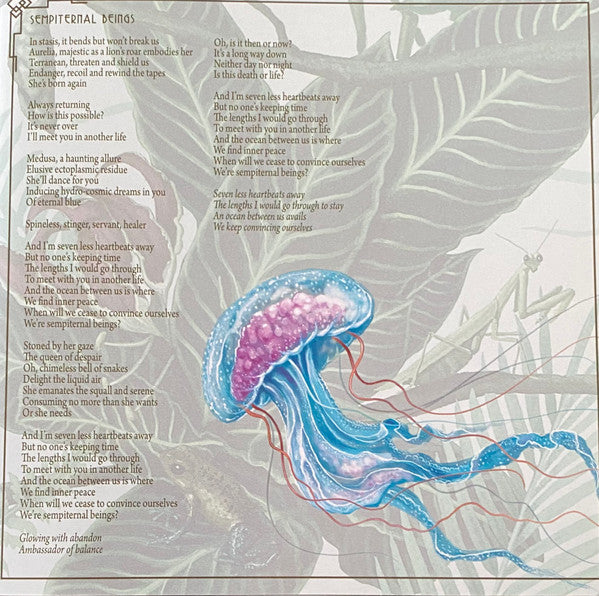 Haken (2) : Fauna (CD, Album)