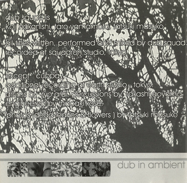 Dub Squad : Dub In Ambient (CD, Album)