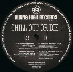 Various : Chill Out Or Die! (2xLP, Comp, Mixed)
