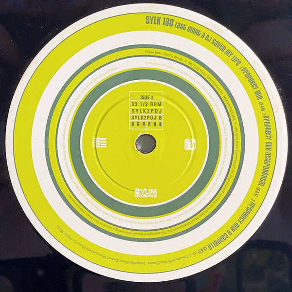 Sylk 130 : Last Night A DJ Saved My Life (12&quot;, Promo)