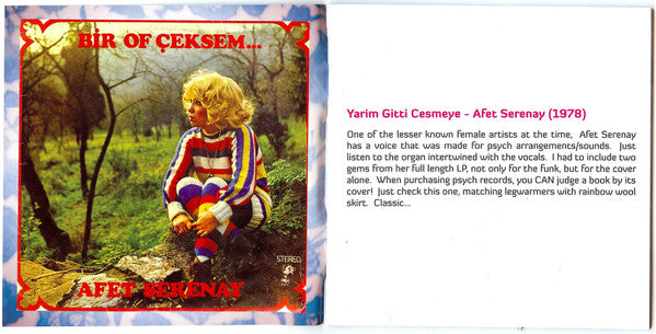 Various : Turkish Freakout 2 (Psych-Folk 1970-1978) (CD, Comp)