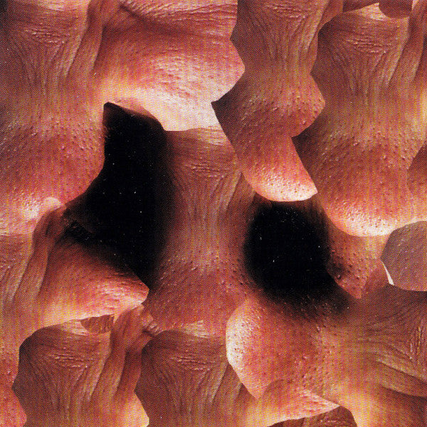 Aphex Twin : Richard D. James Album (CD, Album, RE)