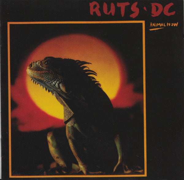 Ruts DC : Animal Now (CD, Album, RE, RM)