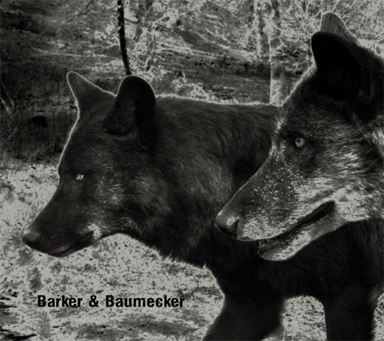 Barker &amp; Baumecker : Transsektoral (CD, Album)