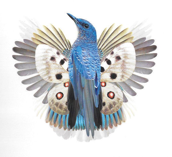 Floorplan : Paradise (CD, Album, Dig)