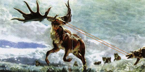 Ultrahigh : The View Of Ultrahigh (CD, Album)