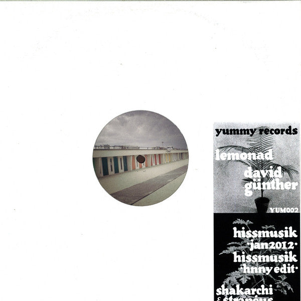 David Günther / Shakarchi &amp; Stranéus : Lemonad / Hissmusik (12&quot;)