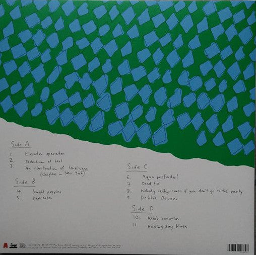 Courtney Barnett : Sometimes I Sit And Think, And Sometimes I Just Sit (2xLP, Album, Dlx, Ltd, Ora)