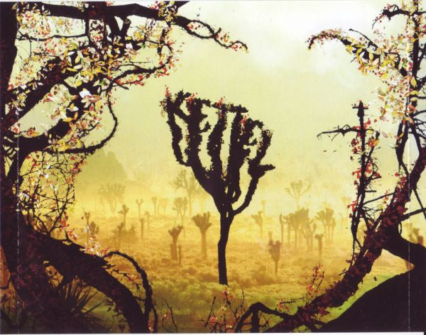 Kettel : My Dogan (CD, Album, Ltd)