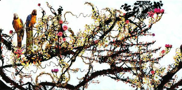 Kettel : My Dogan (CD, Album, Ltd)