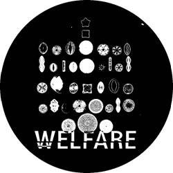 Welfare (6) : Welfare001 (12")