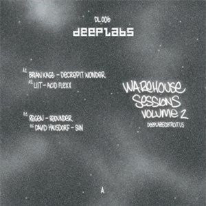 Various : Warehouse Sessions Volume 2 (12", gre)