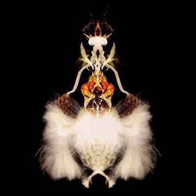 Bola : Fyuti (2x12", Album)