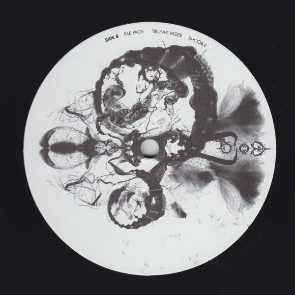 Bola : Fyuti (2x12", Album)
