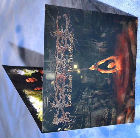 Disgorge (2) : Gore Blessed To The Worms (CD, Album)