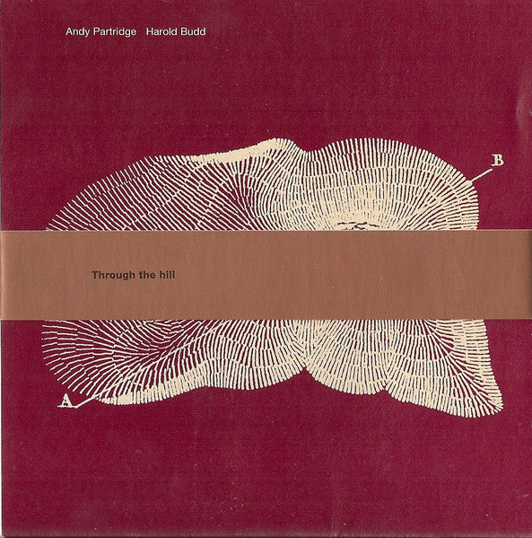 Andy Partridge, Harold Budd : Through The Hill (CD, Album)