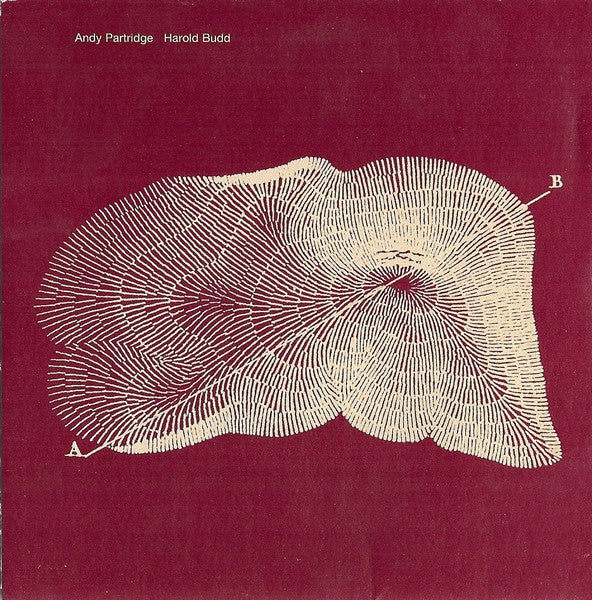 Andy Partridge, Harold Budd : Through The Hill (CD, Album)