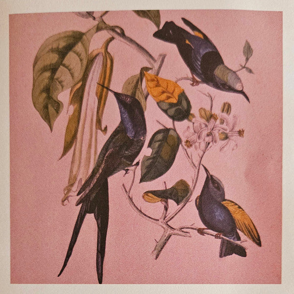 Susumu Yokota : Sakura (CD, Album)
