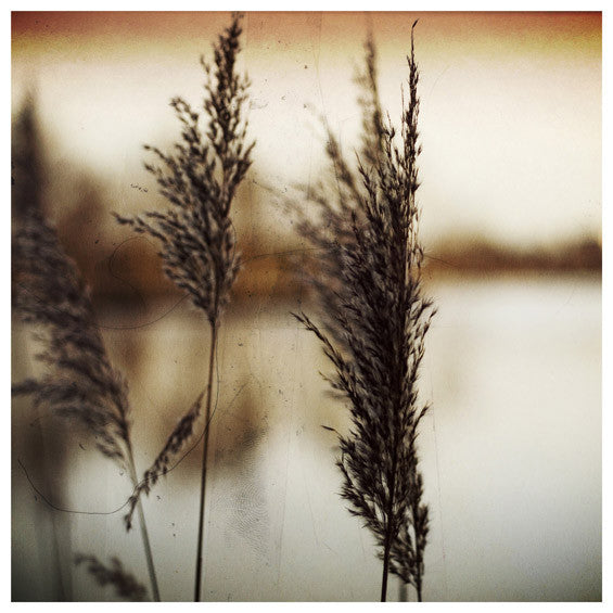 Blu Mar Ten : Black Water (CD, Album)