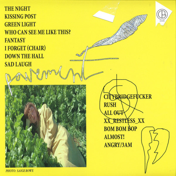 Pamela_and her sons : Hurt Plaza (LP, Album, Ltd)