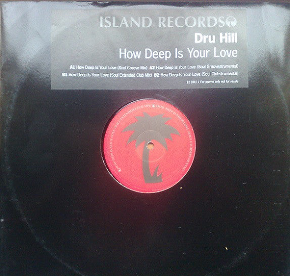 Dru Hill : How Deep Is Your Love (12&quot;, Promo)