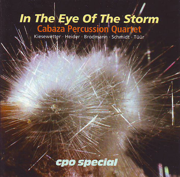 Kiesewetter*, Heider*, Brodmann*, Schmidt*, Tüür* - Cabaza Percussion Quartet : In The Eye Of The Storm (CD, Album)